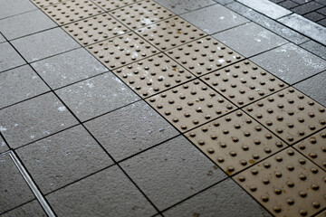 雨上がりの点字ブロック1