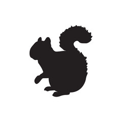 black squirrel vector illustration