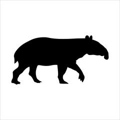 black tapir vector image