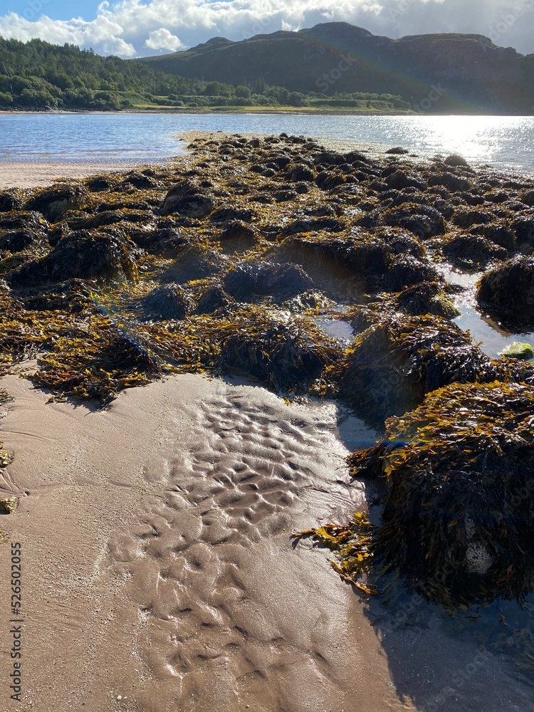 Wall mural sandscape 2