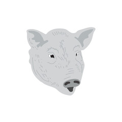 gray pig vector illustration