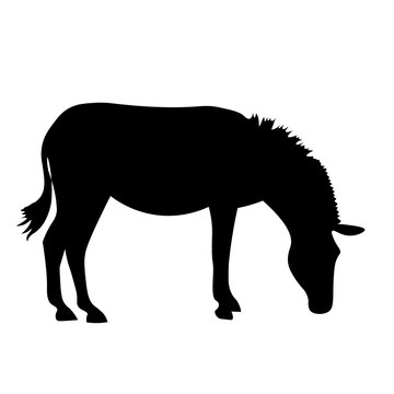 recommend clip art: silhouette of a zebra 