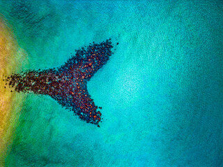 La scogliera a forma di squalo ripresa dal drone