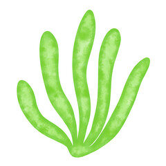 green seaweed leaf watercolor illustration