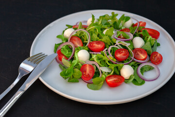 Vegetarian fresh vegetable salad with mozzarella on a white dish close-up