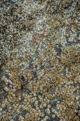 stone wall texture