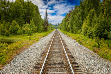 Fototapeta premium Straight railway tracks leading through the wilderness of Alaska