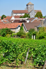 Fototapeta na wymiar Burgundy, France. Vineyards of Nuits-Saint-Georges. August 9, 2022.