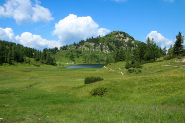 Fototapeta na wymiar The picture from the beautiful nature in Austria in Tauplitzalm in the Alps. 