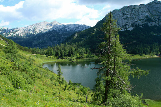 The picture from the beautiful nature in Austria in Tauplitzalm in the Alps. 