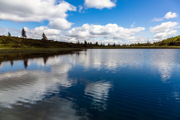 The water surface of the blue lake is surrounded by spruce trees and mountains