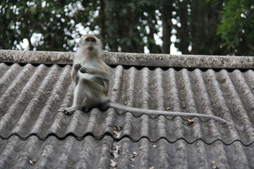 Travel to South East Asia, 2014