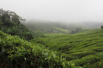 Travel to South East Asia, 2014