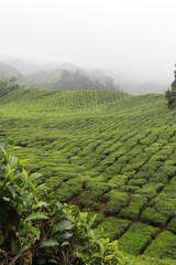 Travel to South East Asia, 2014