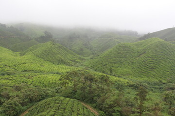 Travel to South East Asia, 2014