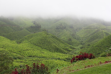 Travel to South East Asia, 2014