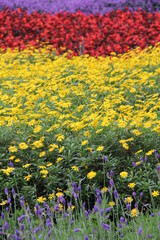 Travel to South East Asia, 2014