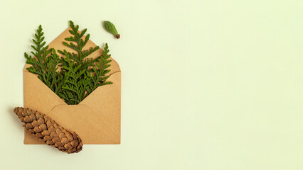 Christmas twigs in an envelope. Christmas background.