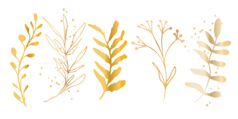 Hand drawn colorful plant set modern and universally usable. Flower branch and minimalistic plants. Hand drawn lines, elegant leaves for your own design. Botanical, chic and trendy plants.