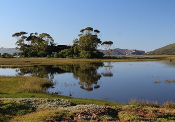 Landscape with water - beautiful lagoon in Knysna, South Africa