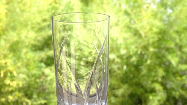 empty glass spinning on green trees background