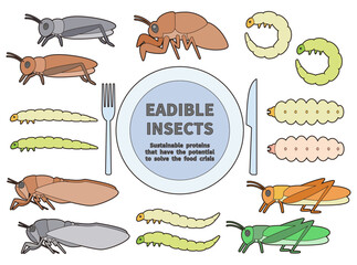 食べられる昆虫のイラストセット　主線あり