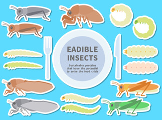 食べられる昆虫のイラストセット　ステッカー