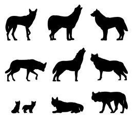 Set of silhouettes of wolves.flock. Silhouette picture. Wild animal in nature. Predator in natural conditions. Isolated on white background. Vector.