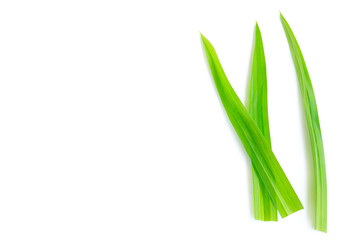 Fresh green pandan leaves isolated on white background