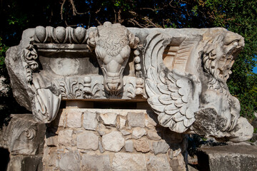 Ruins of the Temple of Apollo in Didim, Turkey
