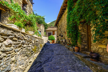 Picturesque alley with houses made of stone and pots with flowers in the medieval village of Beget,...