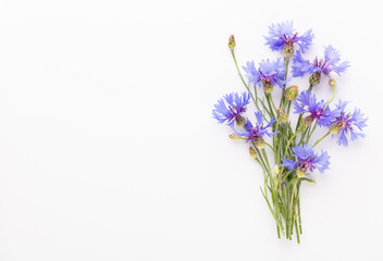 Obraz premium Alternative Medicine. Centaurea cyanus, Cornflower Herb capsule, Nutritional Supplement.