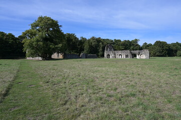 Obraz premium The roofless shell of a Norman Abbey in the uk.