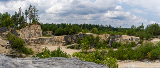 abandoned quarry overgrown with trees