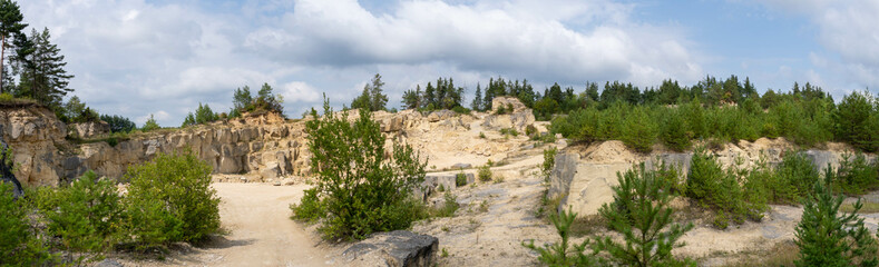 abandoned quarry overgrown with trees