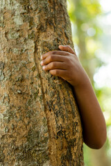 Hiding behind a tree is a man or women holding with one hand