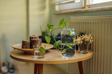 different flowers on the coffee table