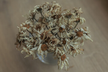 dried daisies