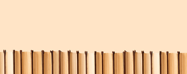 Banner with horizontal books border on pastel background. Education, wisdom concept. Row of hardcover novels, encyclopedias, guides. Place for text