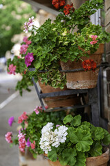 Fototapeta na wymiar Flower pots on a balcony