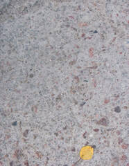 the rough concrete texture with flecks of red granite