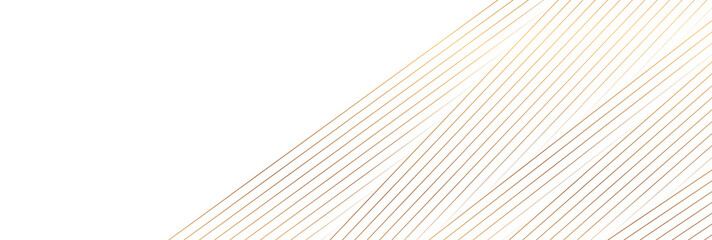 White abstract corporate background with golden lines. Vector banner design