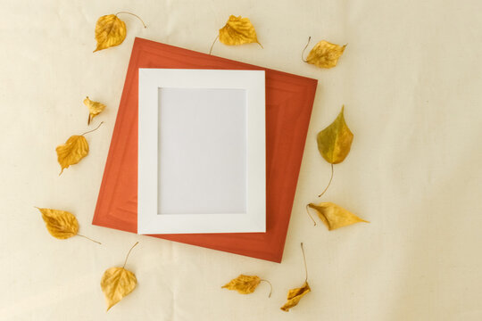 Mockup Of Letter Board . Thanksgiving Baby Announcement. Fall Pregnancy Announcement Background With Blurred . Selective Focus