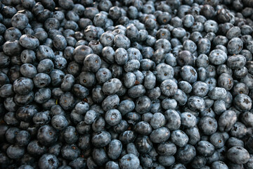 Background of ripe fresh blueberries. Close-up. Selling blueberries at a farmers' market.