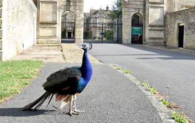 Corsham in Wiltshire UK