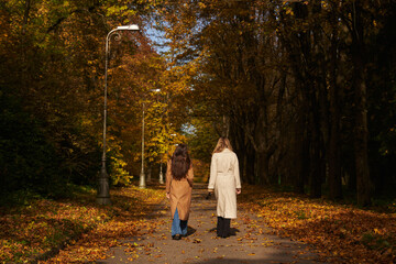 two cheerful young women are walking in the autumn park between yellow trees, view from the back