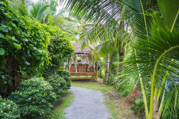 Obraz premium picture of many trees in the garden