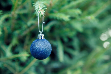 Festive christmas balls. Beautiful green fir tree branches decor with blue baubles decoration....