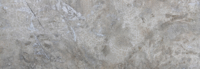 panoramic gray burnt cement texture