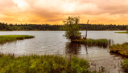 Lake at sunset and forest (auvergne)